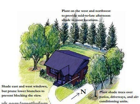 original (1).jpg